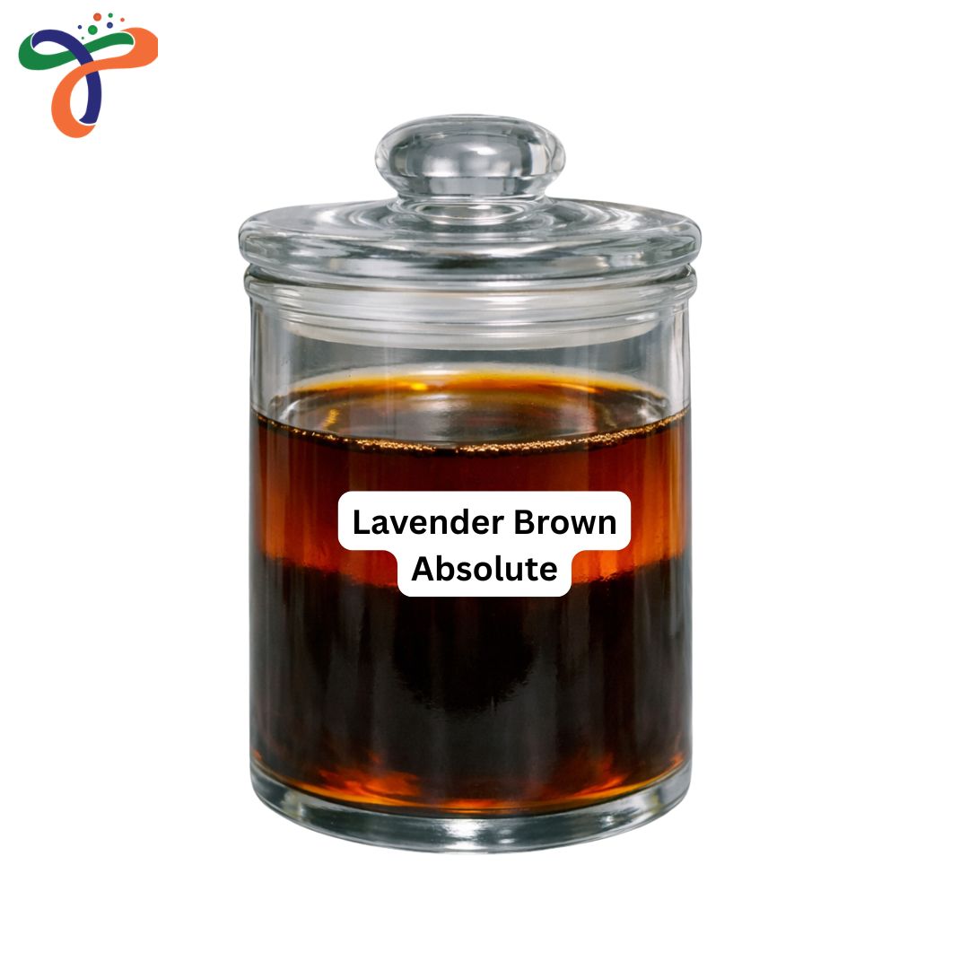 Lavender Brown Absolute